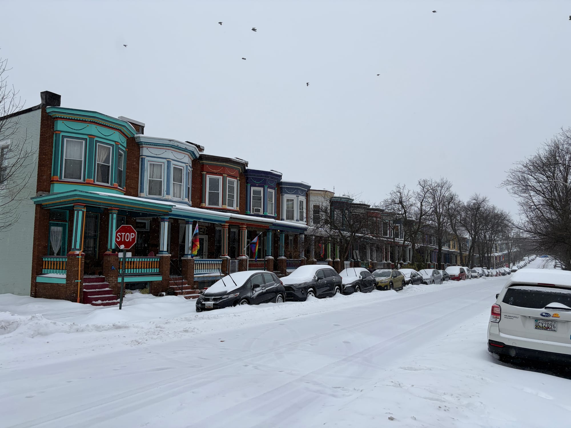 Genius #25 - Jan '26