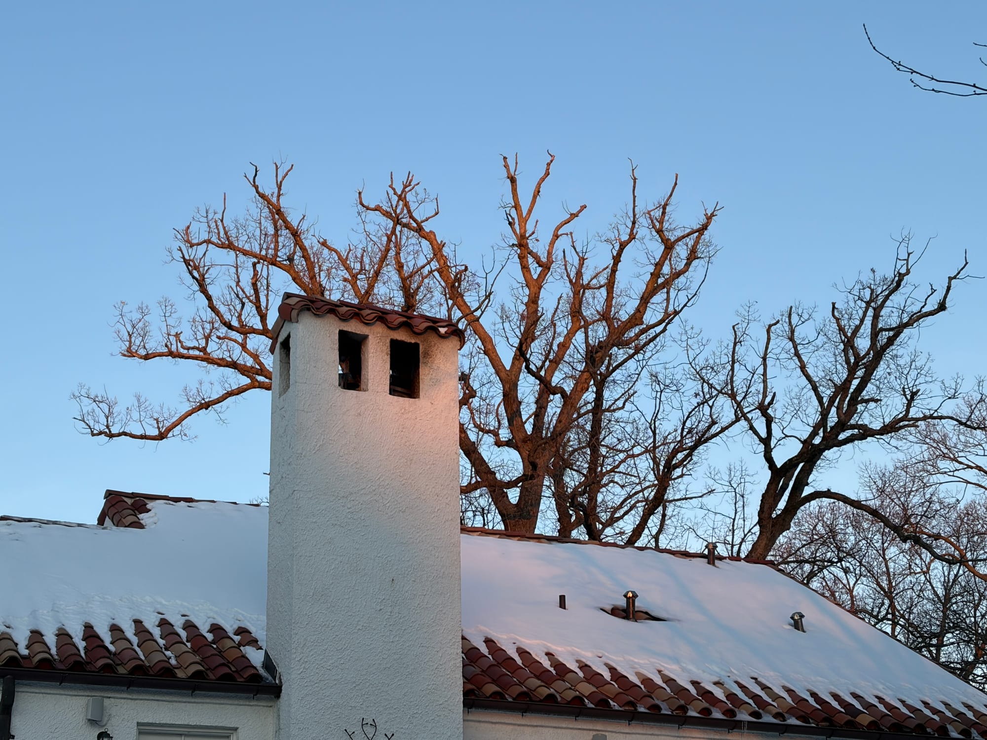 Genius #26 - Feb '26