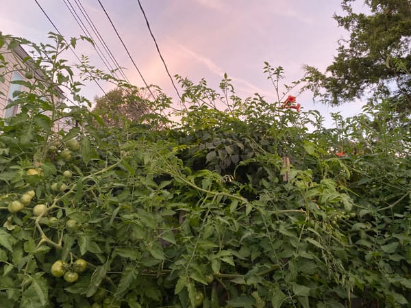 Genius #22 - Oct '25