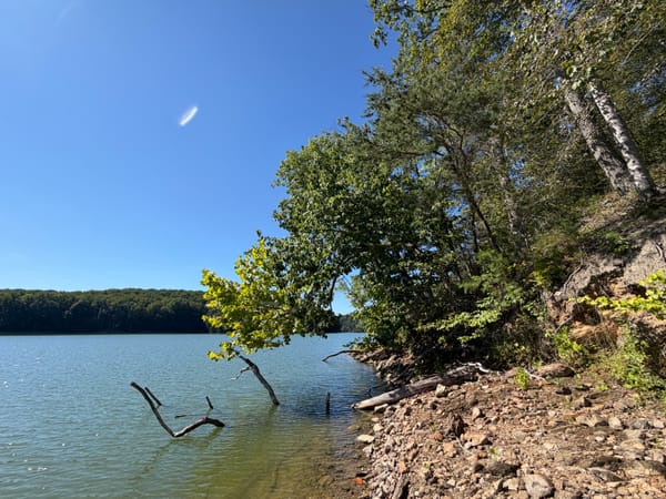 A slim lakeshore next to a steep slope on a sunny day